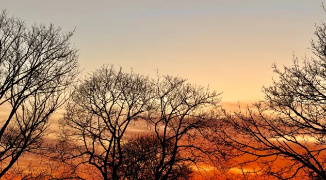 The Seven Divine Gifts Given to Believers
