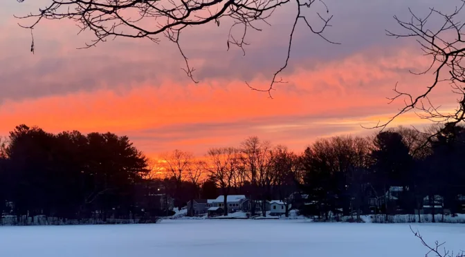 Walk in the Light of the Lamb: Finding Hope