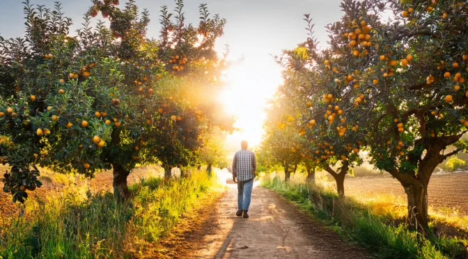 Walk by the Spirit, Not by the Flesh